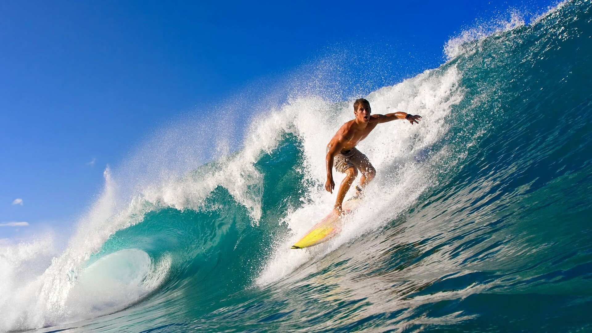 弗朗索瓦·斯图尔特：稳重的防守与精准的传球，为南非队打下坚实基础